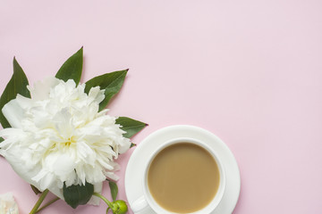Notepad for text white flowers peony cherry berries on pastel pink background.