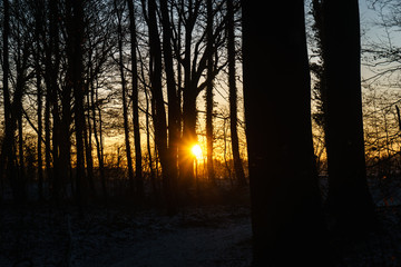 Sonnenuntergang Winter