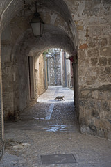 Tunnel in der Altstadt von Dubrovnik mit kreuzender Katze