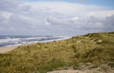 Fototapeta na wymiar Dänische Nordseeküste