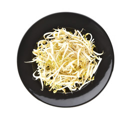 Sprouts in black plate on white  background,Top view