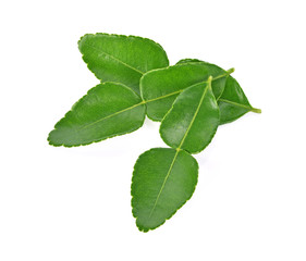 Top view of Kaffir lime leaf isolated on white background