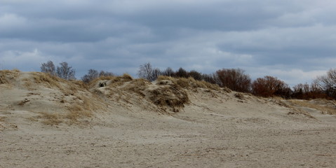 sand dunes at the baltic sea at pärnu estonia