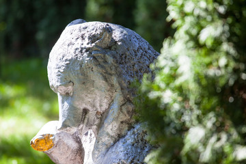 silver bear sculpture among green bushes