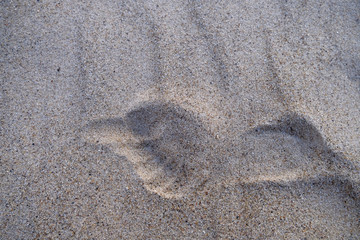 Fototapeta na wymiar One print of a leg on sand