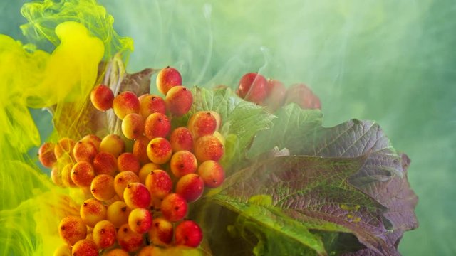 Amazing spreading of paint on beautiful autumn bouquet.