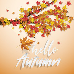 Autumn background with maple leaves and pumpkin. Fall background.