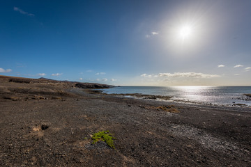 Fuerteventura Coastline with Sun