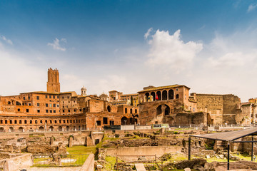 Fototapeta na wymiar The Forum Roman in Rome. Roman ruins in Rome, Italy