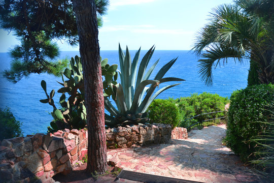 Botanical garden Marimurtra. Blanes. Spain. Costa Brava. Beautiful view. 