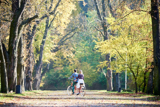 Back view of young romantic couple, man and blond woman riding tandem bicycle along park or forest alley lit by bright sun and covered with golden autumn leaves on green and yellow trees background.