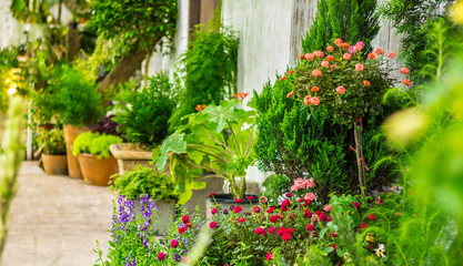 Fototapeta na wymiar Relaxing area in cozy home garden on summer./ Beauty and relaxing garden with flower pot decoration in cozy home flower garden on summer.