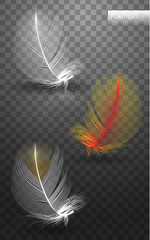 Isolated falling fluffy twirled feathers on transparent background in realistic style. Vector Illustration