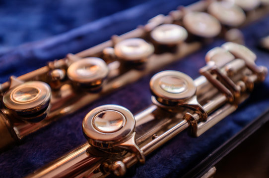 Detail Close up Flute