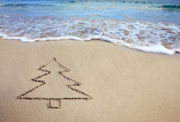 Fit tree drawing in the sand at the caribbean beach.