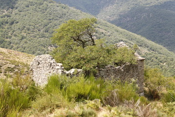 Maison en ruine dans les Cévennes	