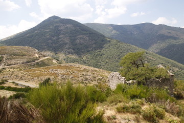 Paysage de montagne dans les Cévennes 