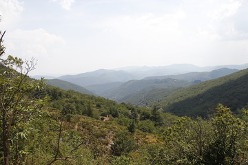 Fototapeta premium Paysage de montagne dans les Cévennes 