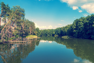 View of the calm lake in the forest. Beautiful wilderness