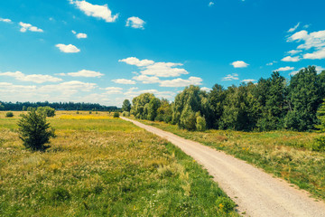 Obraz premium The country road along the field on a sunny day