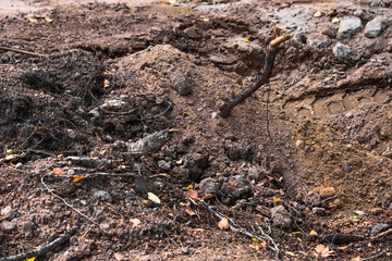 Heap of soil, roots and stones and a trace from the tire