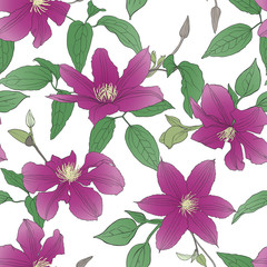 Seamless pattern with Clematis flowers.