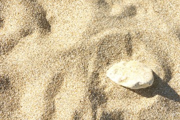 sea sand background texture stone in the sand