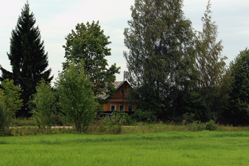 village house among trees