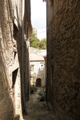 Ruelle à Saint André de Majencoules, Cévennes