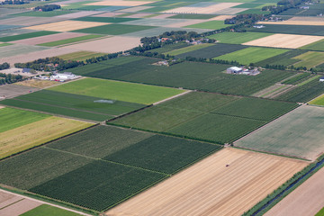Aerial view Dutch polder Noordoostpolder with farmhouses and agricultural landscape - obrazy, fototapety, plakaty