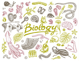 Scientific laboratory in Biology. Icon Set of Biochemistry Research. Living creatures organisms molecules. Medicine in school. Education and Science. engraved hand drawn in old sketch vintage style.