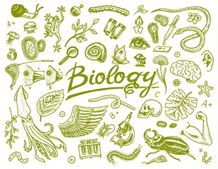 Scientific laboratory in Biology. Icon Set of Biochemistry Research. Living creatures organisms molecules. Medicine in school. Education and Science. engraved hand drawn in old sketch vintage style.