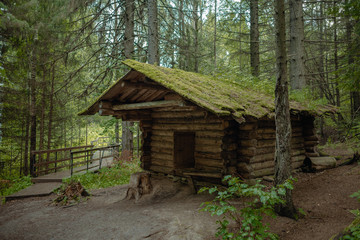 Hunter's house in the forest