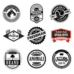 Set of classic company retro or old, vintage badges or banners, sign or logotype, labels and stickers with crown and star, ship steering wheel and anchor, glasses and moustache, laurel wreath