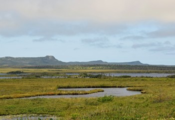 Fototapeta na wymiar Avalon Wilderness reserve landscape seen from the Irish Loop, Avalon Peninsula, Newfoundland 