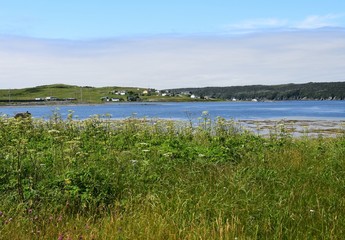 Fototapeta na wymiar landscape around the Irish Loop; view across Trepassey harbour from Valna Fad towards the town of Trepassey , Avalon peninsula Newfoundland Canada