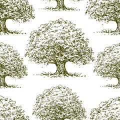 Seamless background of the oak trees sketches