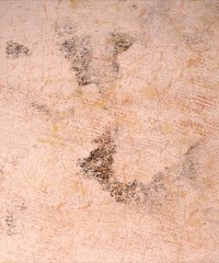 Dried old wall. Stained wall. Old grunge background.