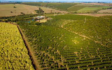 Aéreas drone agronegócios
