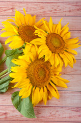 Beautiful bouquet made of bright yellow sunflowers laying on wooden background