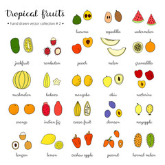 Hand drawn tropical fruits set.