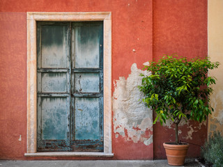 Fototapeta na wymiar Mediterrane Wand mit Tür und Zitronenbaum