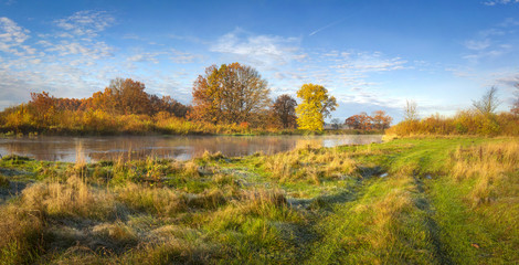 Autumn nature landscape. Amazing panorama of autumnal river shore with trees, meadow and blue sky on sunny day. Golden nature in october. Colorful leaves and grass on river bank. Scenery autumn. Fall.