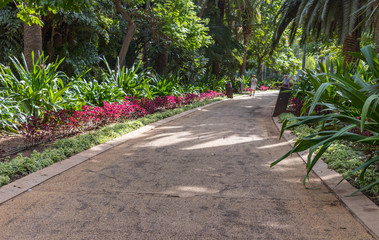 Weg im Parque García Sanabria, Teneriffa