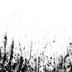 20171102_114325 1 33