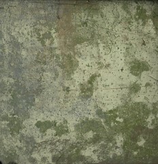 Concrete wall. Painted background. Old paint.