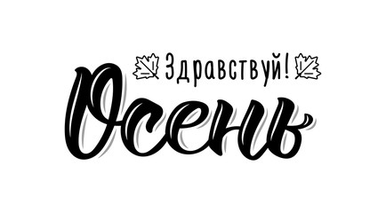 Hello Autumn. Trendy hand lettering quote in Russian, fashion graphics, art print for posters and greeting cards design. Cyrillic calligraphic isolated quote in black ink. Vector