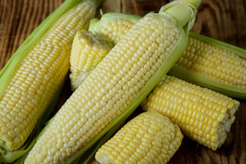 The young cobs of fresh yellow corn.