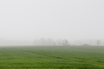 Obraz na płótnie Canvas misty landscape of farmers crops 