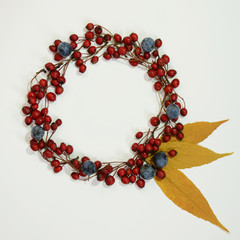 Frame of hawthorn andblackthorn berries. Autumn berries concept with space for text. Top view, flat lay